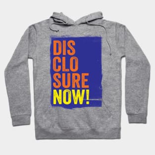 DISCLOSURE NOW! TYPOGRAPHIC SLOGAN - FOR UFO / UAP BELIEVERS! Hoodie